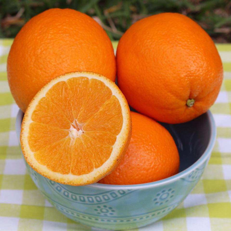 Florida Oranges The Kitchen Prescription